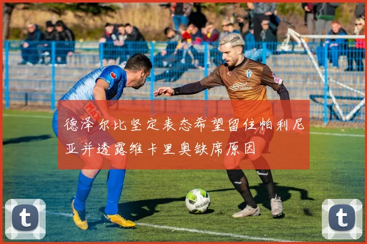 德泽尔比坚定表态希望留住帕利尼亚并透露维卡里奥缺席原因