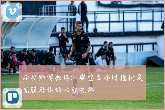 延安师傅教诲：攀登高峰时撞树是克服恐惧的必经之路
